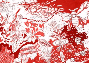 Exposição “Narrativas do Inconsciente: Vermelho” anuncia MIA Imergências