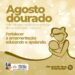 Ações em alusão ao “Agosto Dourado” serão realizadas durante todo o mês