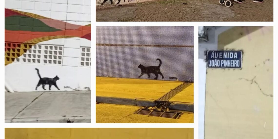 Gatos pintados em Poços: entenda porque eles estão por todos os cantos da cidade