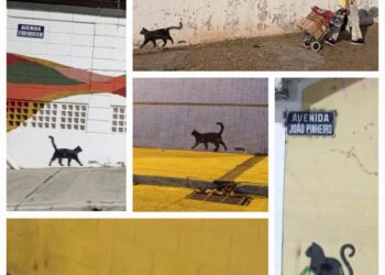 Gatos pintados em Poços: entenda porque eles estão por todos os cantos da cidade