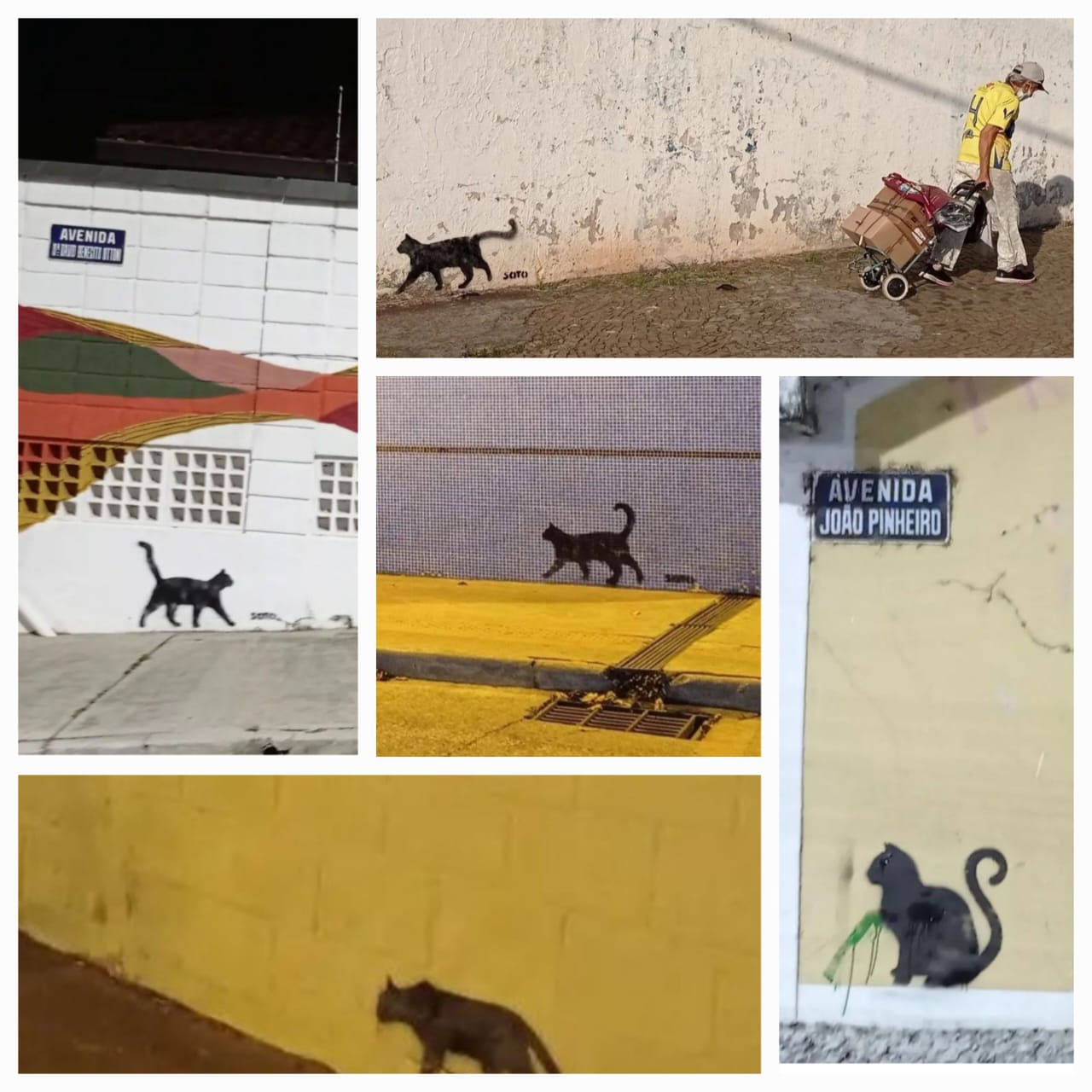 DESENHANDO E PINTANDO UM GATO