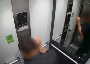 Revoltante: vídeo mostra cadela sendo agredida com vários socos em Poços