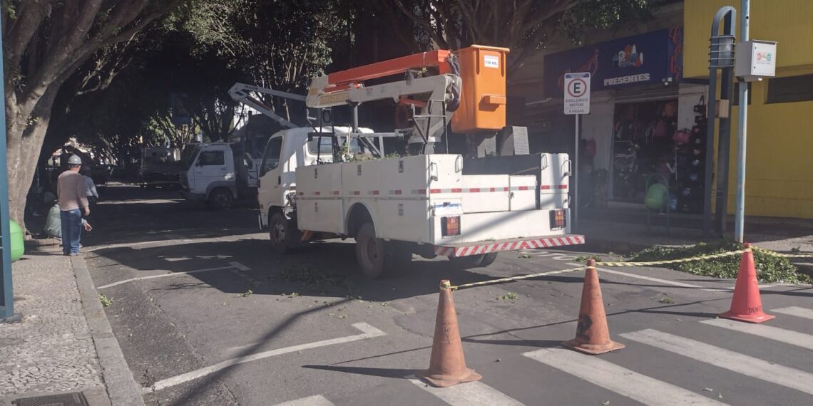 Trecho da Rua São Paulo é interditado devido a poda de árvores em Poços de Caldas