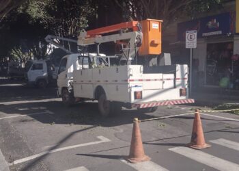Trecho da Rua São Paulo é interditado devido a poda de árvores em Poços de Caldas