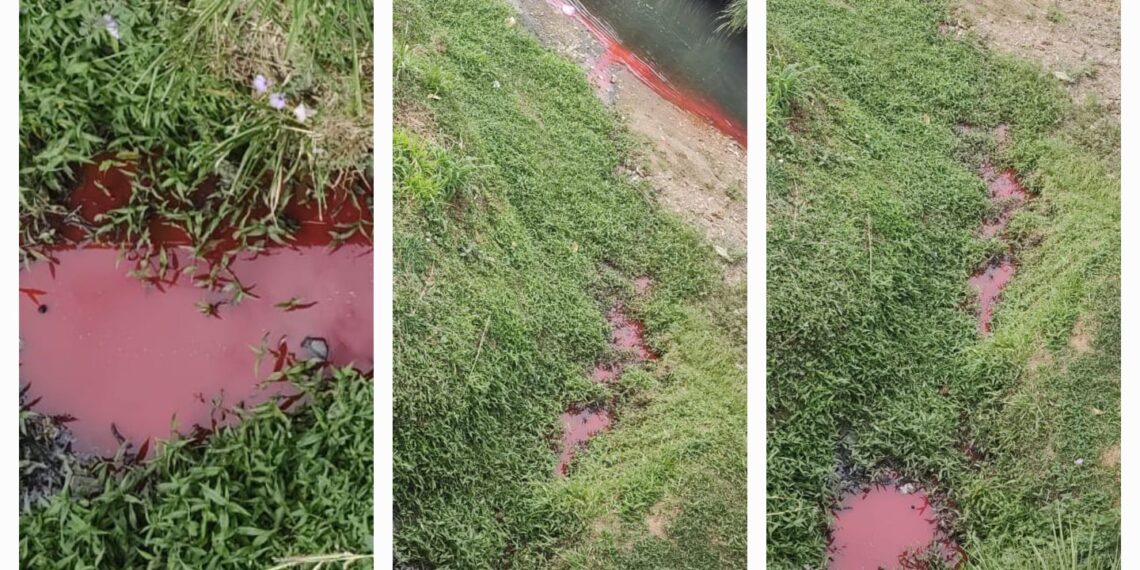 DMA e DMAE investigam água com cor vermelha em ribeirão de Poços de Caldas