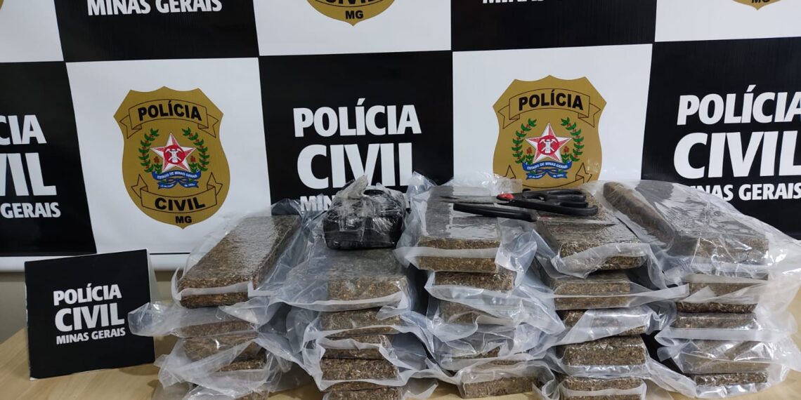 Polícia Civil prende homem por tráfico de drogas na zona Sul de Poços de Caldas