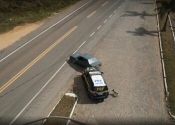 VÍDEO: cãozinho adotado pela PRF de Poços segue viatura durante abordagem em rodovia
