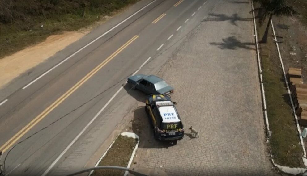 VÍDEO: cãozinho adotado pela PRF de Poços segue viatura durante abordagem em rodovia