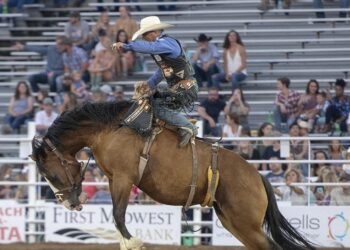 Justiça proíbe realização de rodeios em Minas Gerais