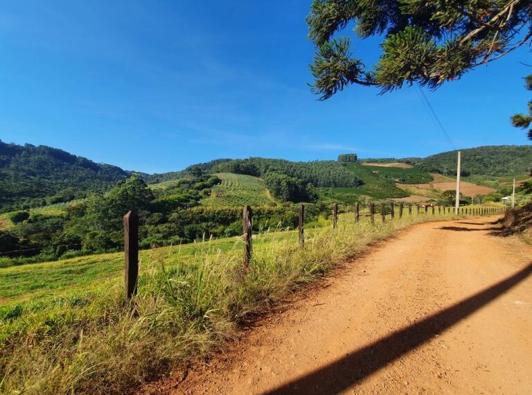 Seminário sobre Agricultura Sustentável e Créditos Ambientais acontece em Poços de Caldas