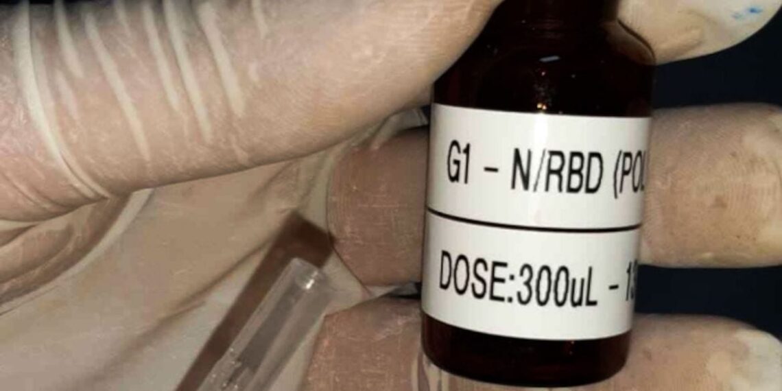 Vacina brasileira mira variantes e facilidades logísticas