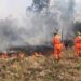 Incêndio consome vegetação em Poços