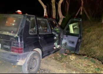 Carro bate em árvore e deixa uma pessoa ferida em Poços