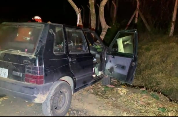 Carro bate em árvore e deixa uma pessoa ferida em Poços