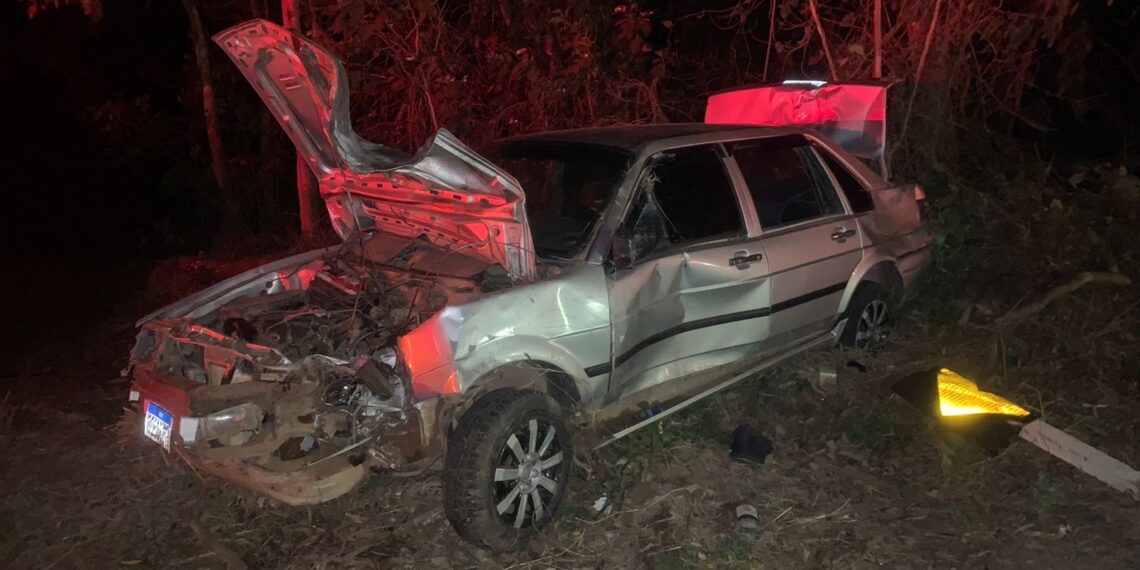 Carro bate contra árvore na BR-146