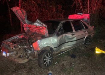 Carro bate contra árvore na BR-146