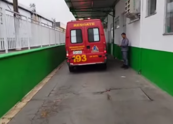 Cão ajuda a encontrar homem desaparecido em São João da Boa Vista