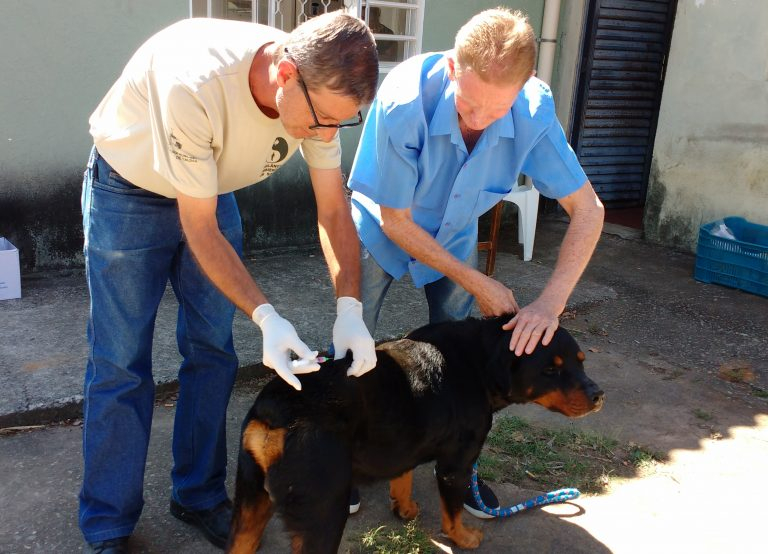Confira os locais de vacinação antirrábica neste sábado em Poços 