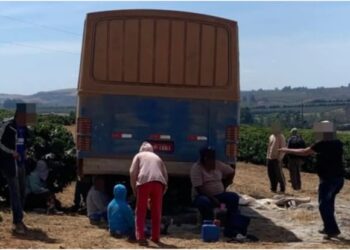 Sete pessoas são resgatadas em situação análoga à escravidão em Andradas