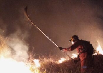Incêndio consome 50 mil metros quadrados de vegetação em Botelhos