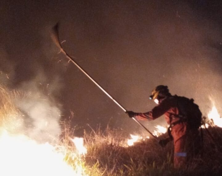 Incêndio consome 50 mil metros quadrados de vegetação em Botelhos