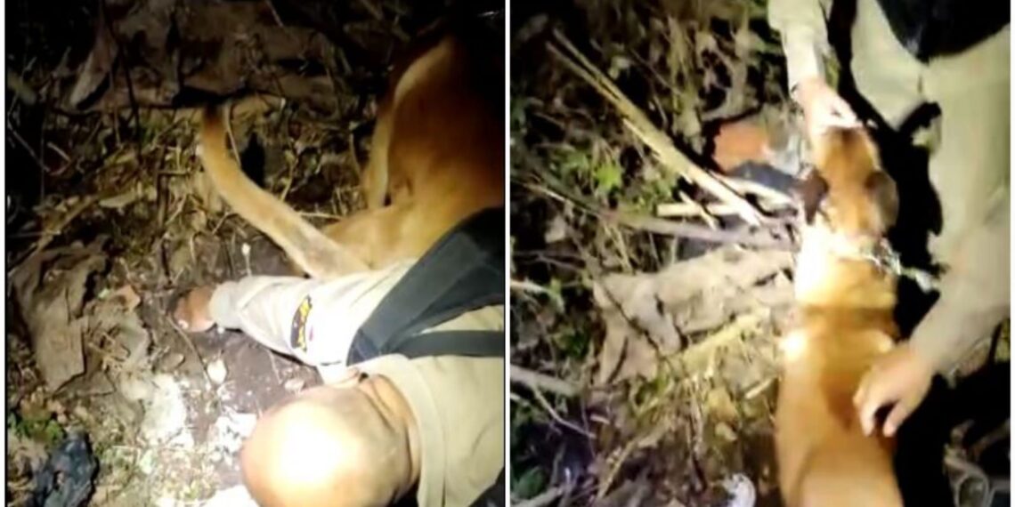 Traficante é preso pela Polícia Militar em Poços de Caldas