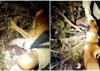 Traficante é preso pela Polícia Militar em Poços de Caldas