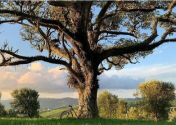 Inscrições do concurso fotográfico sobre ciclismo vão até dia 30 em Poços