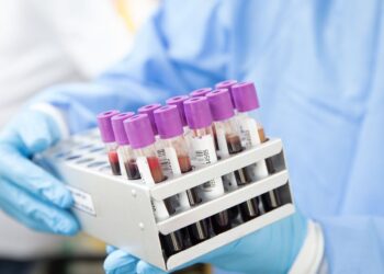 Varíola dos macacos: 14 casos já foram confirmados no Sul de Minas