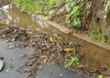 Prefeitura de Poços de Caldas realiza limpeza de bocas de lobos