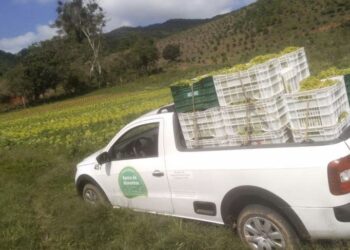 200kg de alimentos foram doados para o Banco de Alimentos de Poços de Caldas