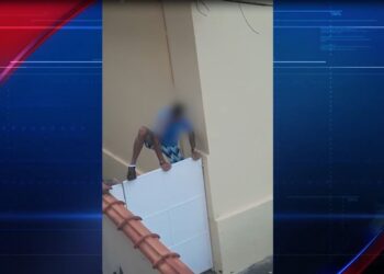 “Só queria chupar jabuticaba”, diz homem flagrado em quintal de residências em Poços de Caldas