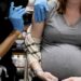 Durante a pandemia de Covid-19 elevaram em 70% o número de mortes de gestantes e puérperas no Brasil