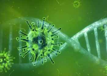 Casos de Covid-19 voltam a crescer no Sul de Minas após semana das eleições