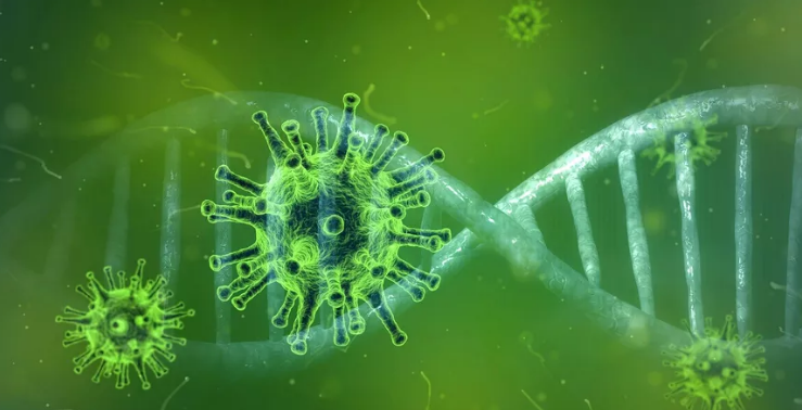 Casos de Covid-19 voltam a crescer no Sul de Minas após semana das eleições