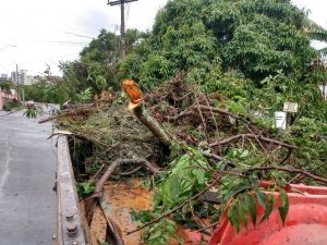 Após fortes chuvas, Prefeitura prossegue trabalho de limpeza e diminuição de danos