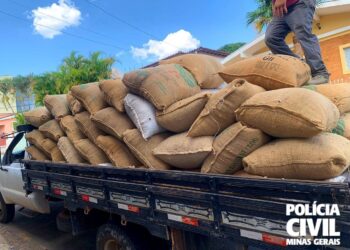 Dupla é presa e 112 sacas de café são recuperadas em Andradas