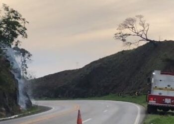 Incêndio é combatido pelos Bombeiros na BR-146