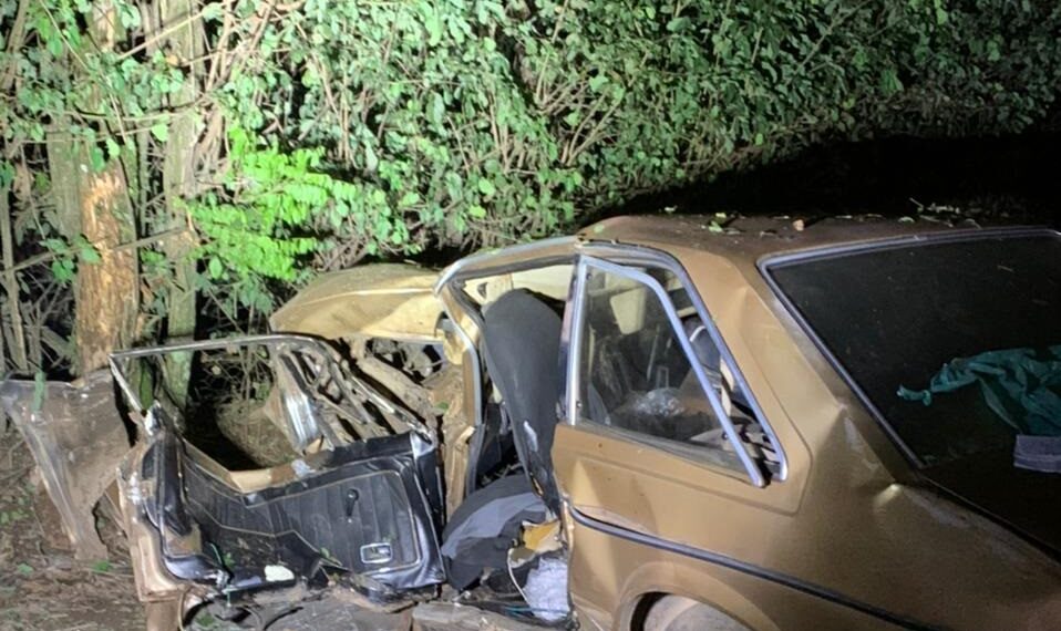 Motorista fica gravemente ferido após carros bater em árvore