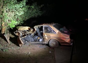 Motorista fica gravemente ferido após carros bater em árvore