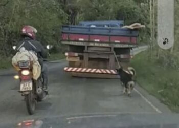 Motorista é preso após ser flagrado levando cachorro amarrado em caminhão em MG