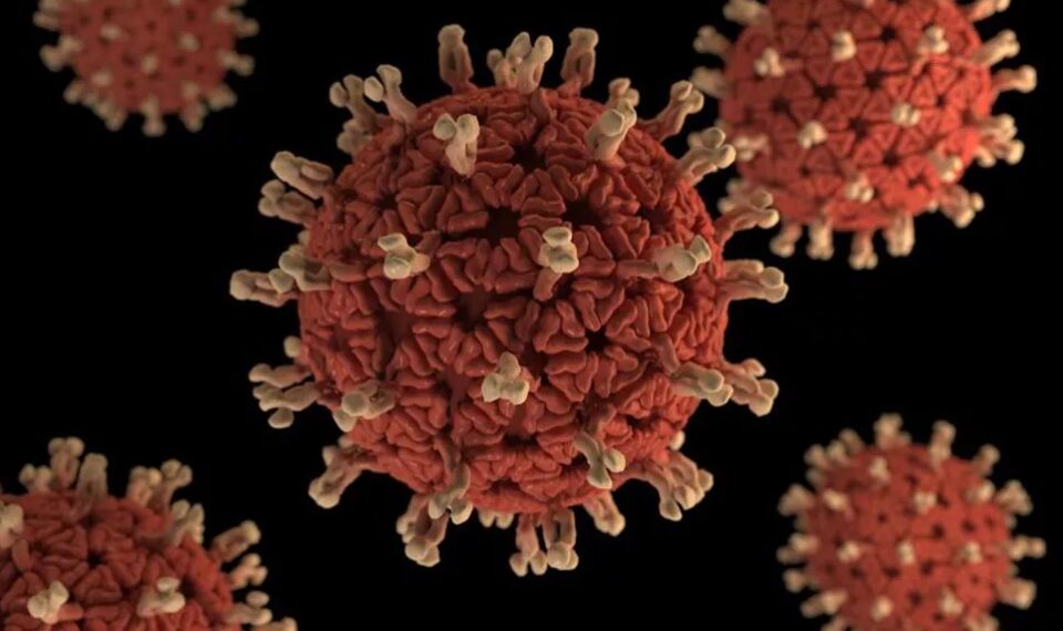 Secretaria de Saúde reforça importância da vacina Rotavírus