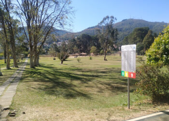 Associação de Diabéticos realizará evento gratuito em Poços de Caldas