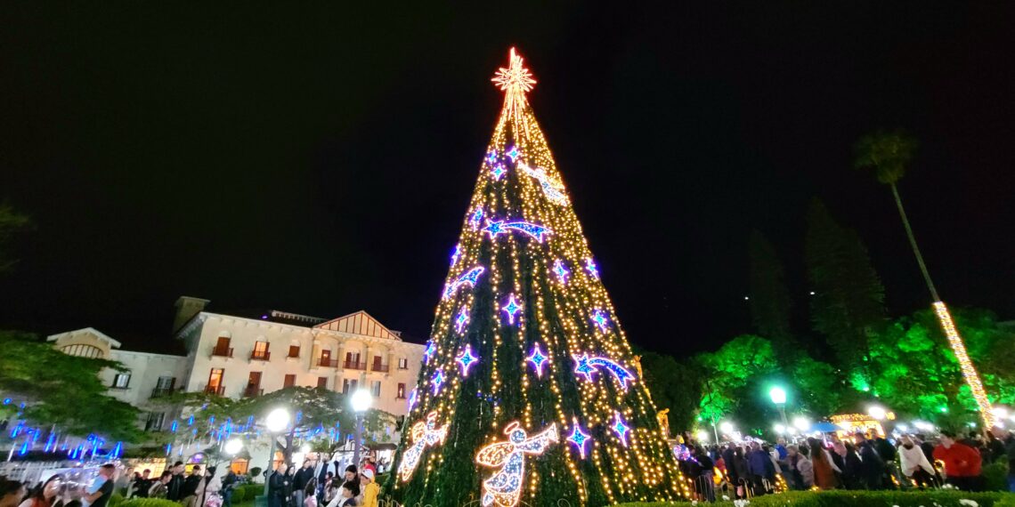 Fotos: acendimento oficial das luzes de Natal em Poços de Caldas