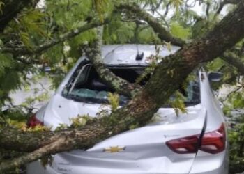 Municípios do sul de Minas foram atingidos por um temporal nesta quarta-feira (16)