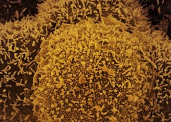 Número de casos de Covid-19 em Poços neste mês já é 25% maior que em todo mês de outubro