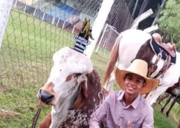 Adolescente é morto a facadas em Caldas