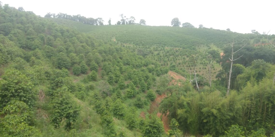 Homem desaparecido é encontrado morto pelo Corpo de bombeiros de Poços de Caldas