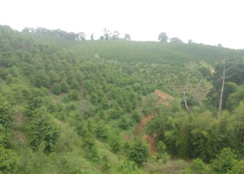 Homem desaparecido é encontrado morto pelo Corpo de bombeiros de Poços de Caldas