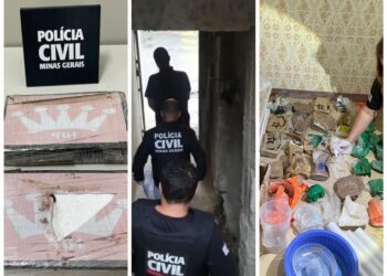 Operação Revoada: Polícia Civil prende quatro homens e duas mulheres em Poços de Caldas